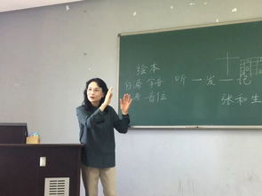 汉语国际教育专题讲座第三十七讲 汉语课堂教学有效性问题讨论